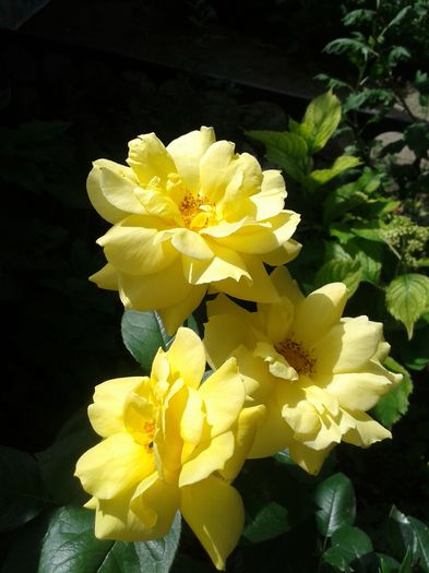 20160618_105102