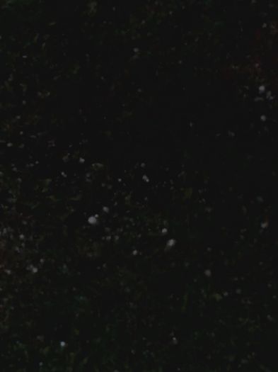 20160618_212847 - E VARA PE CARAREA MEA