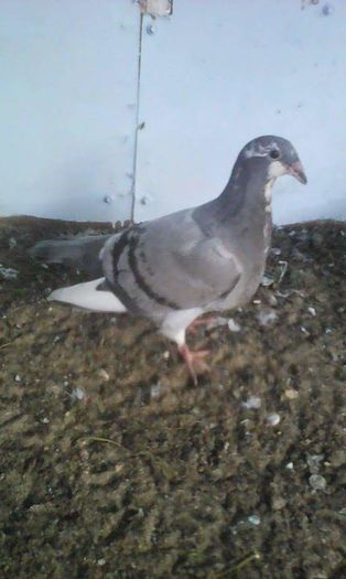 received_1616195565358378