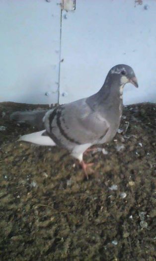 received_1616195568691711