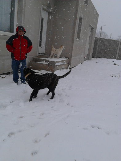 28.12.2014; PRIMA ZAPADA DIN VIATA "BAIETILOR" PATRUPEZI.
