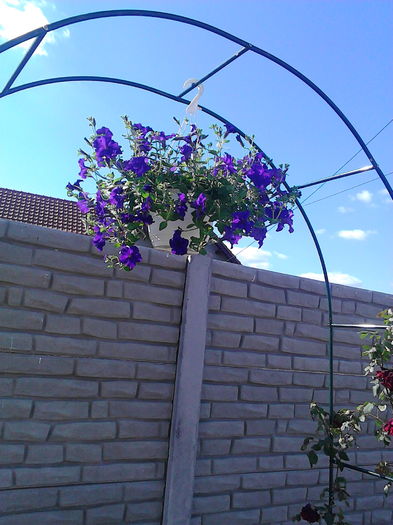 12.05.2015; HAI SOARE CA VREAU SA-TI ZAMBESC. DE CAND TE ASTEPT!
