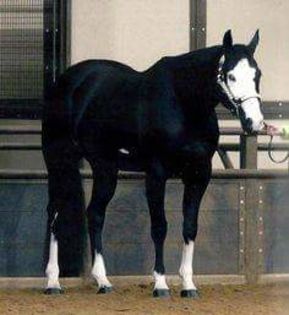 FB_IMG_1466233441627