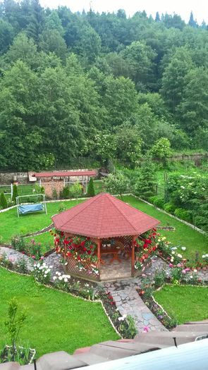 WP_20160622_19_08_54_Pro - Gradina 2016