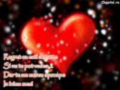 kfgyubv - poze frmoase