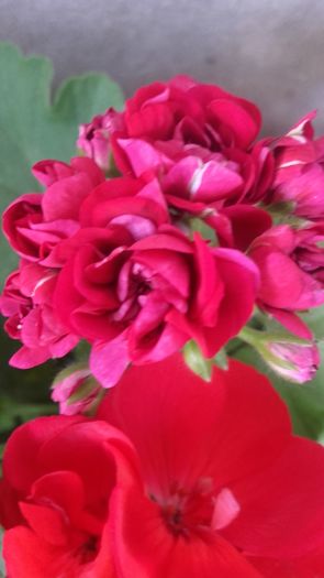 20160615_130425