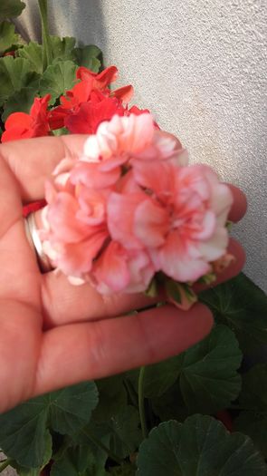 20160621_124934