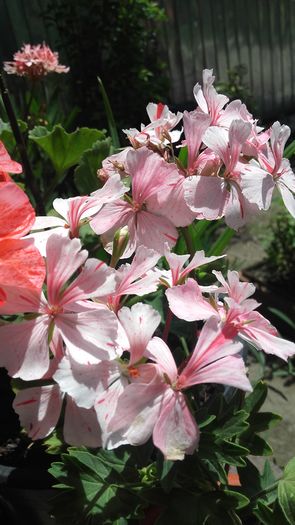 20160621_125101