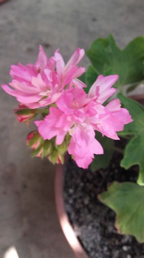 20160621_125144