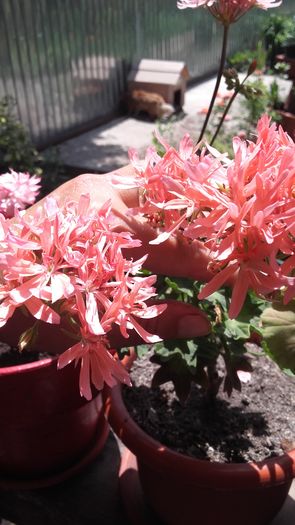 20160621_125207