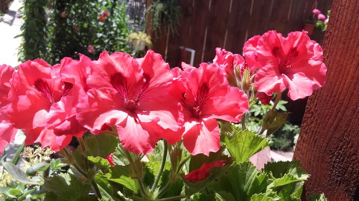 20160621_125245