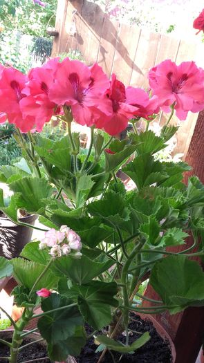20160622_084816