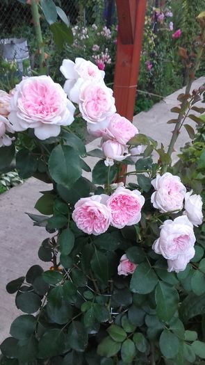 20160619_204643
