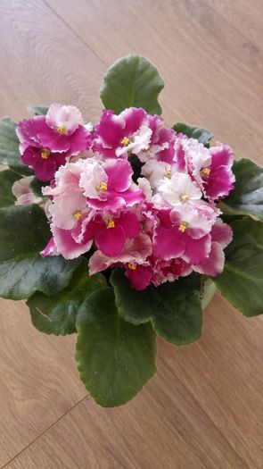 20160621_082552_HDR
