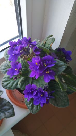 20160619_101812_HDR