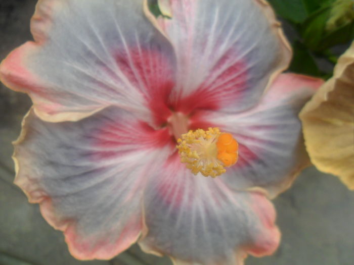 058