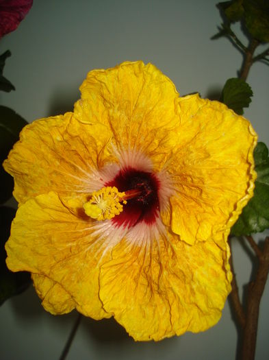 DSC05810