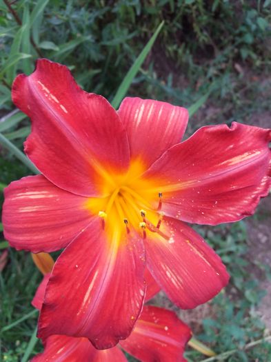 20160621_195026 - CRINI