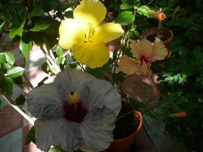 P1270579