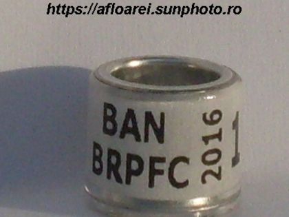 BAN BRPFC 2016 - BANGLADESH