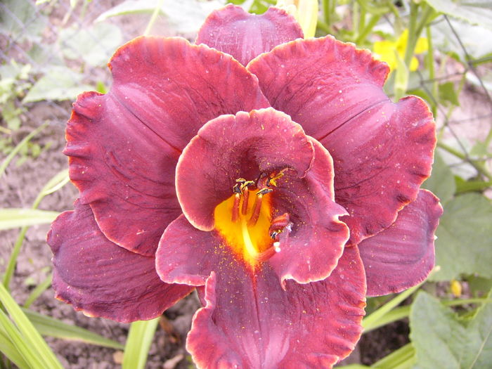 P1290280