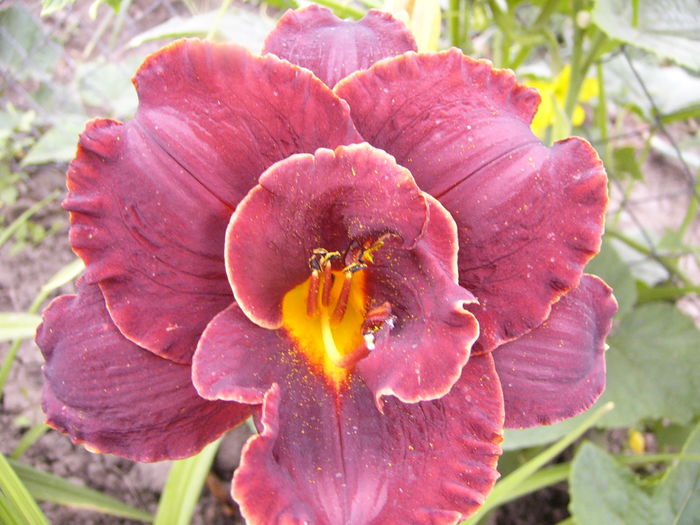 P1290282