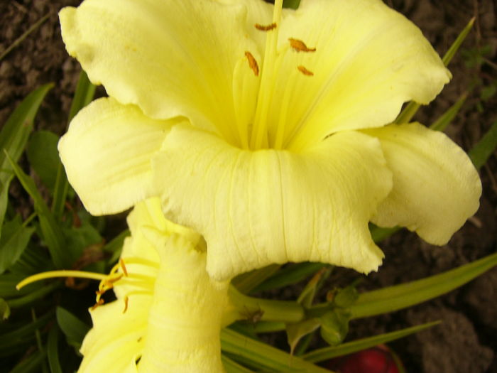 P1290285