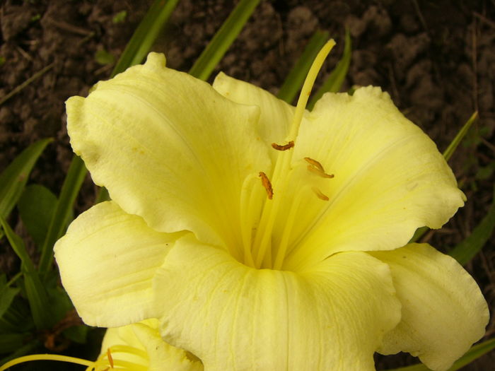 P1290286