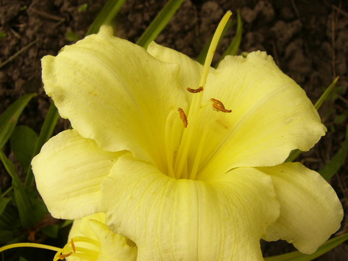 P1290287