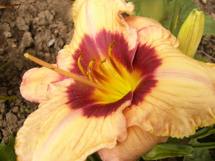 P1290289