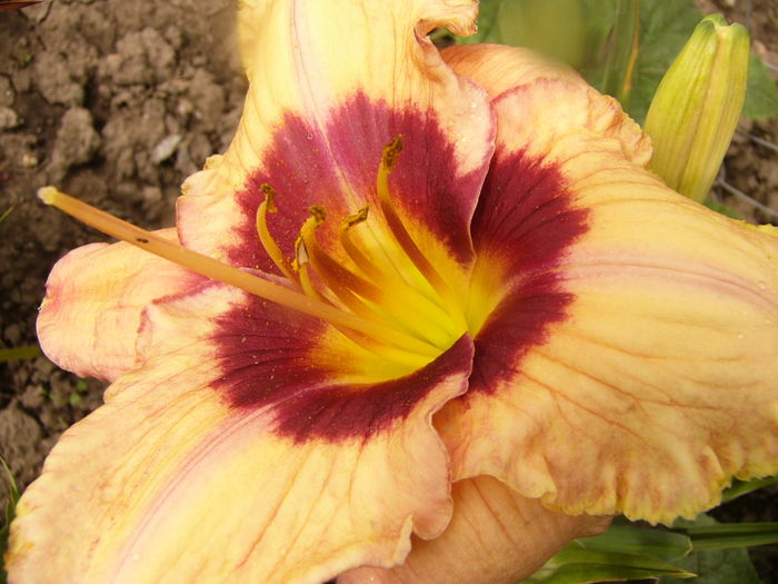 P1290291