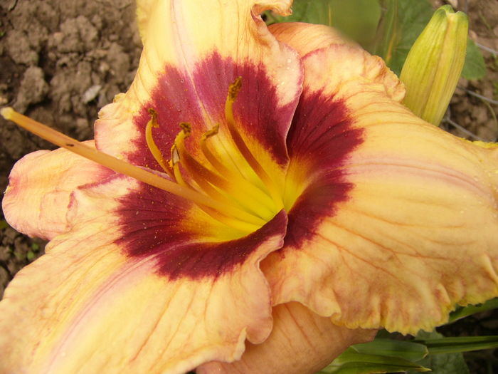 P1290292