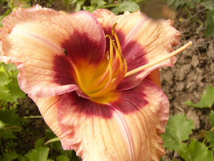 P1290293