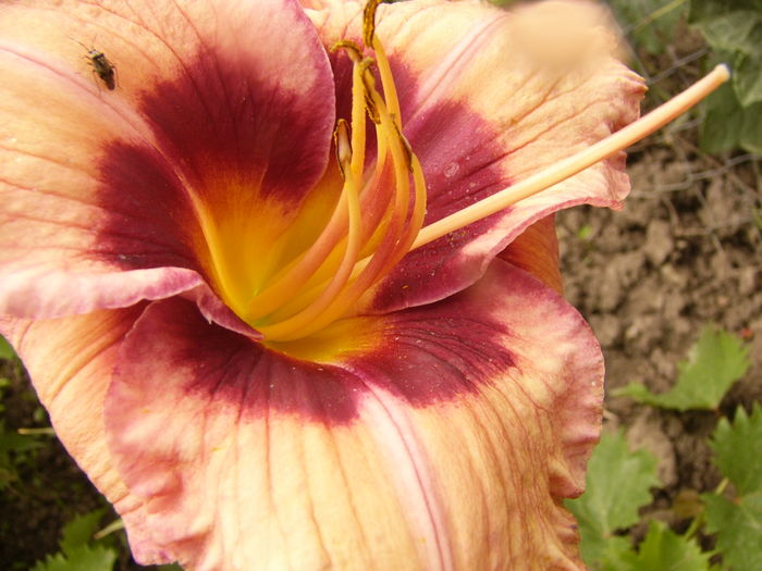 P1290296