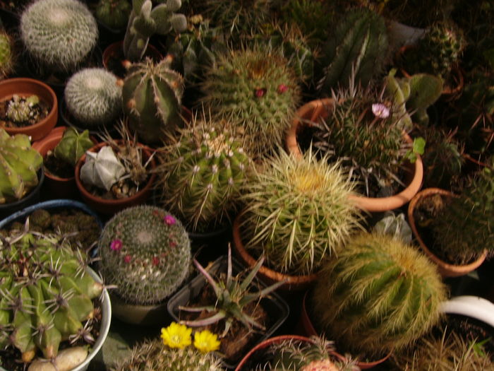 P1290334