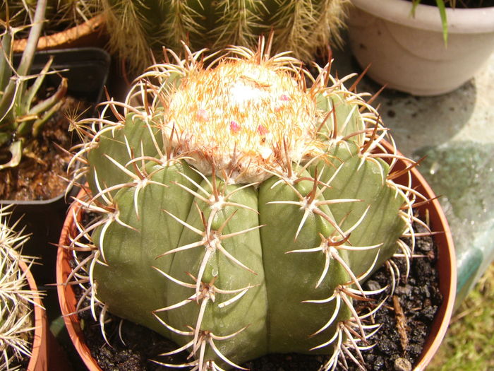 P1290336