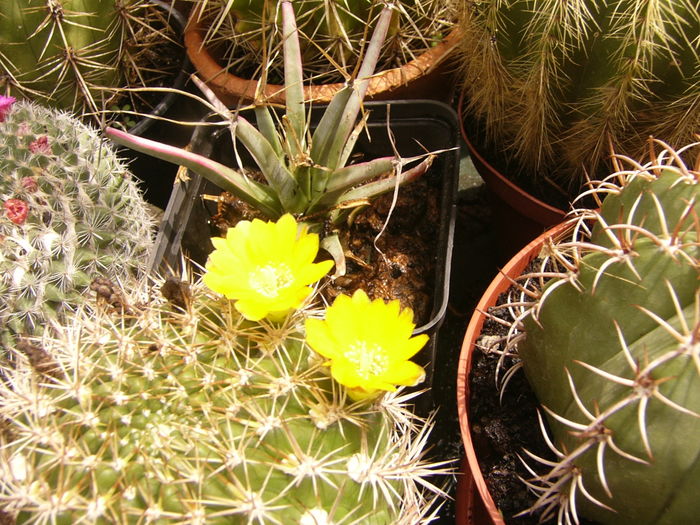 P1290337