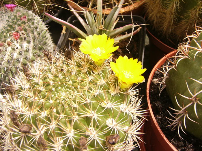 P1290338