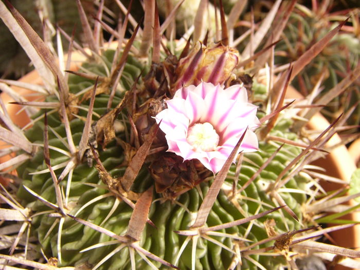 P1290341