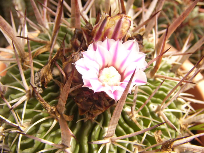 P1290342