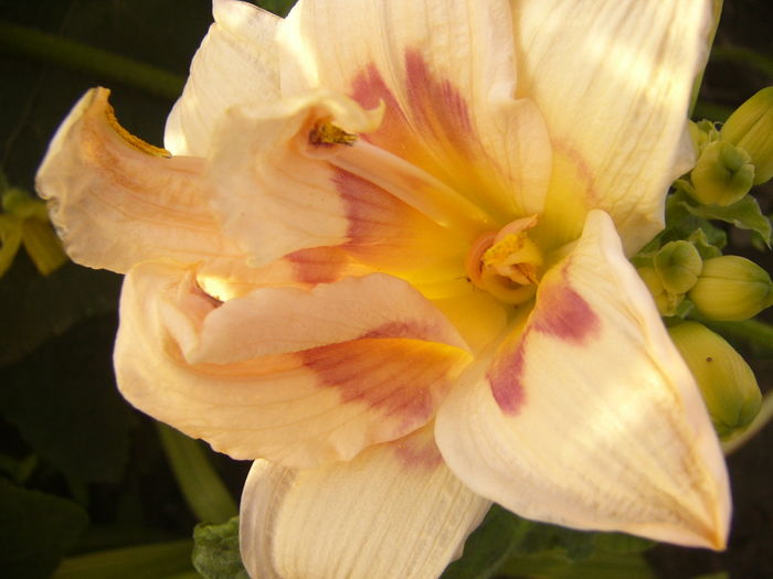 P1290389