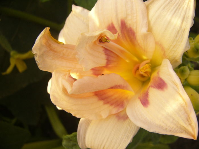 P1290390