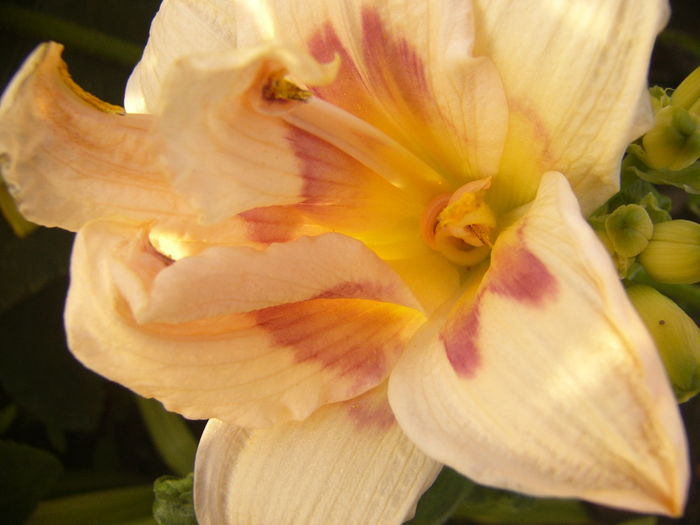 P1290391