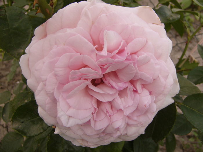 P1290397