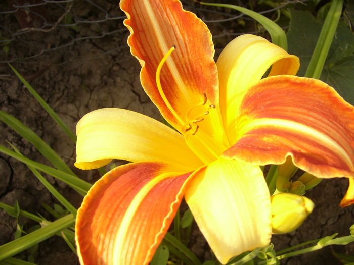 P1290401