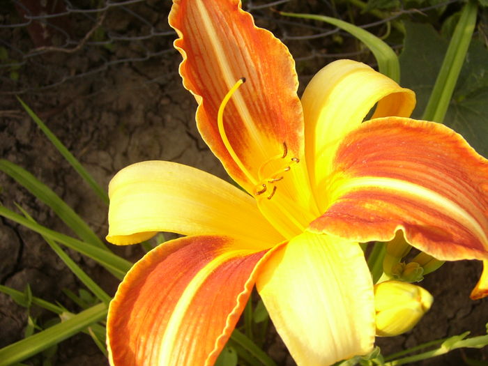 P1290403