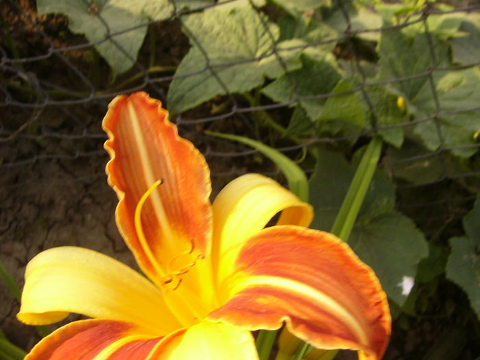 P1290405