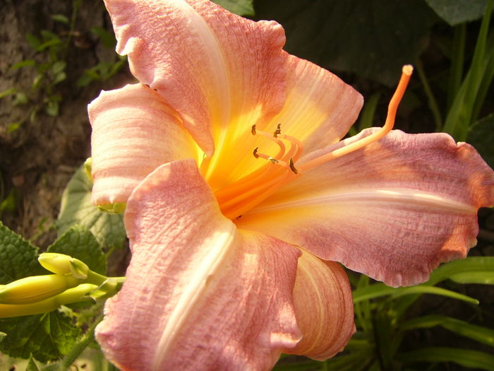 P1290408