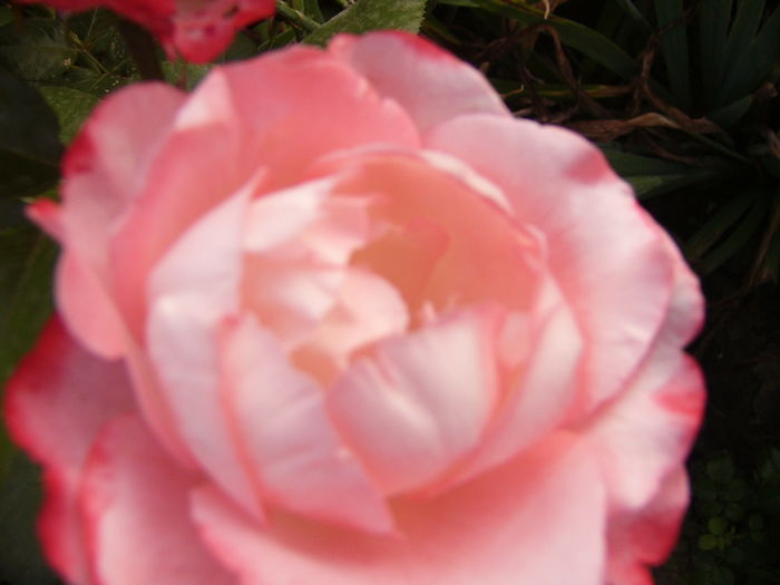 P1290428
