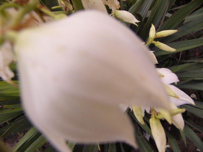 P1290449